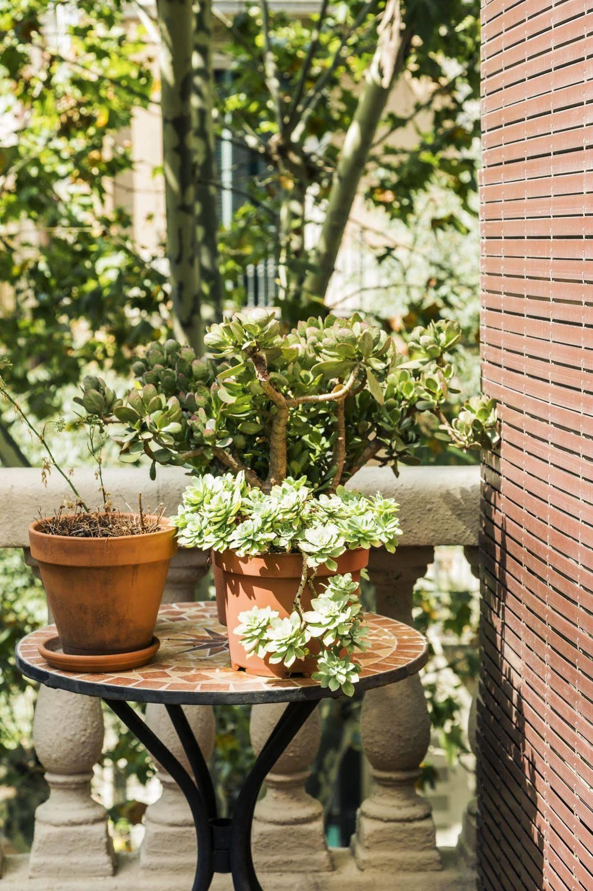 ברצלונה La Casa Gran B&B מראה חיצוני תמונה
